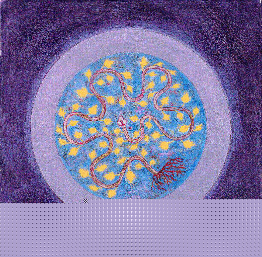 bild3.jpg (122722 Byte)